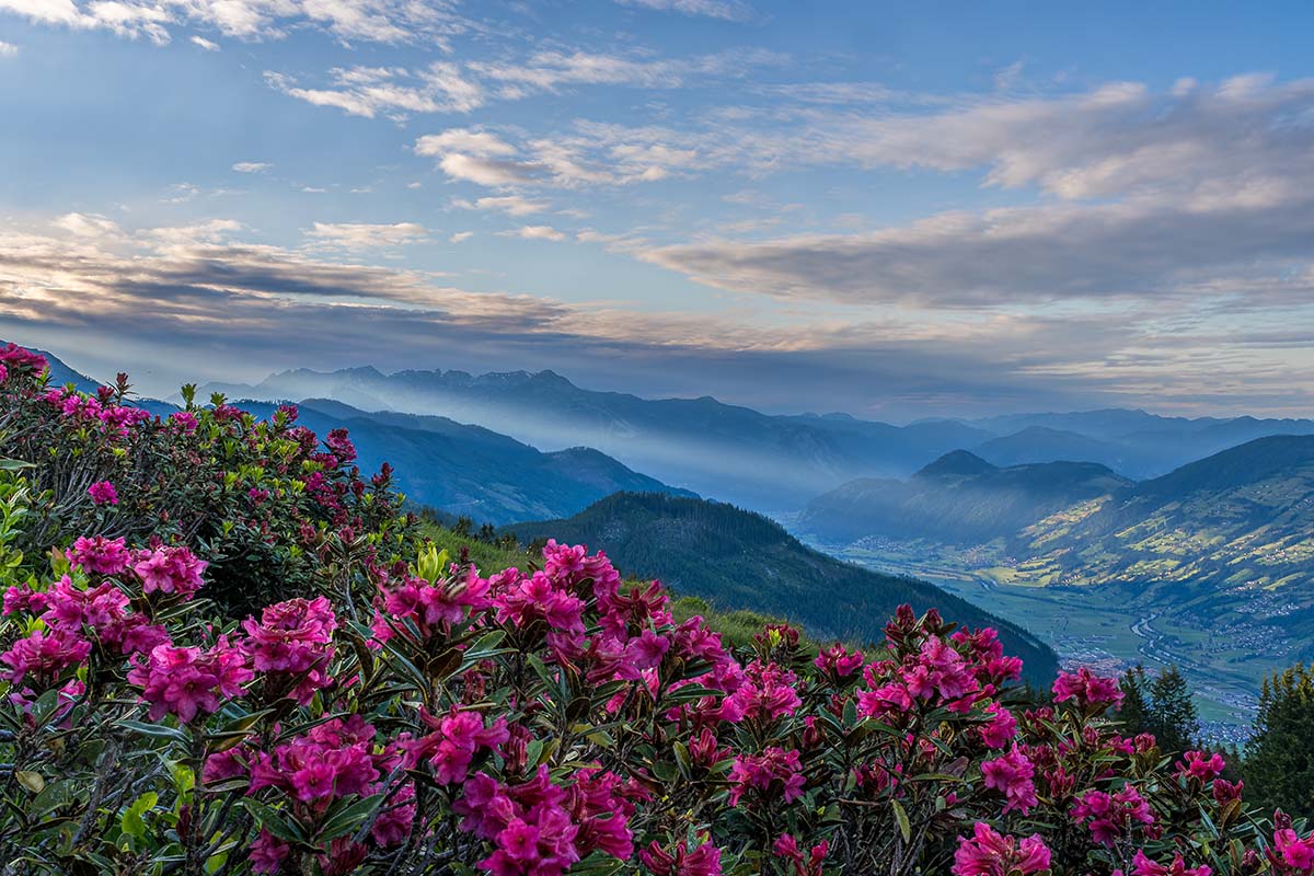 Die Zillertal Activcard